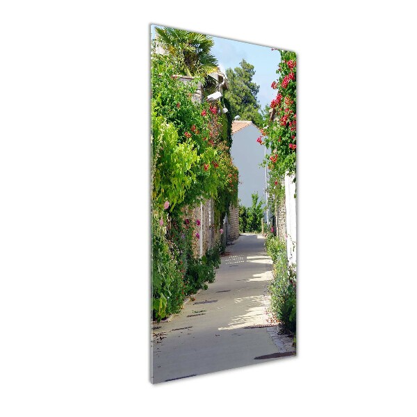 Quadro vetro acrilico verticale Strade francesi