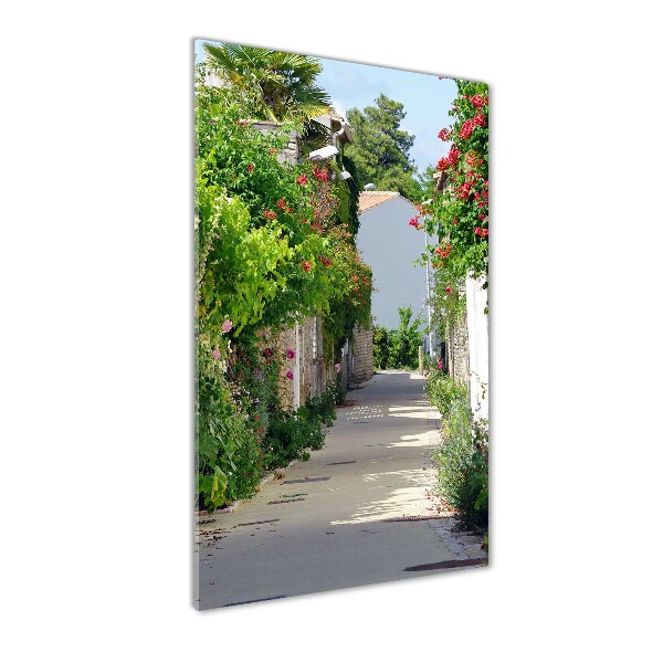 Quadro vetro acrilico verticale Strade francesi