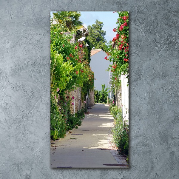 Quadro vetro acrilico verticale Strade francesi