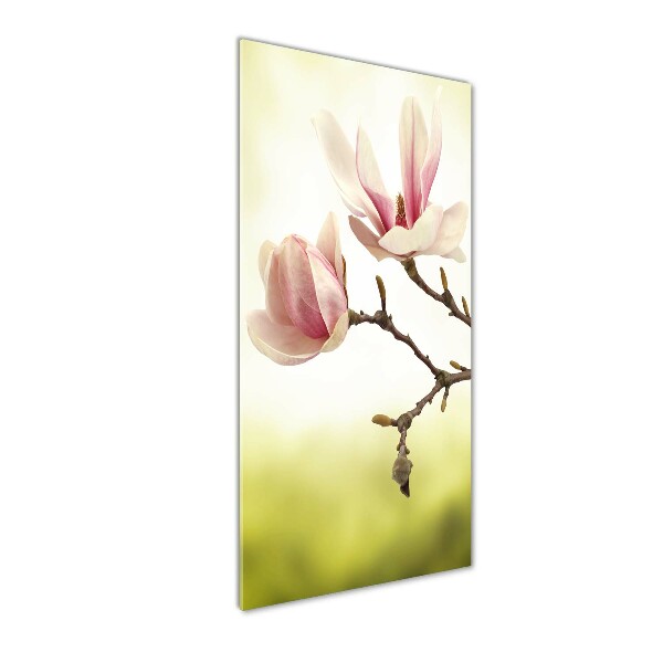 Quadro stampa su vetro acrilico verticale Fiori di magnolia