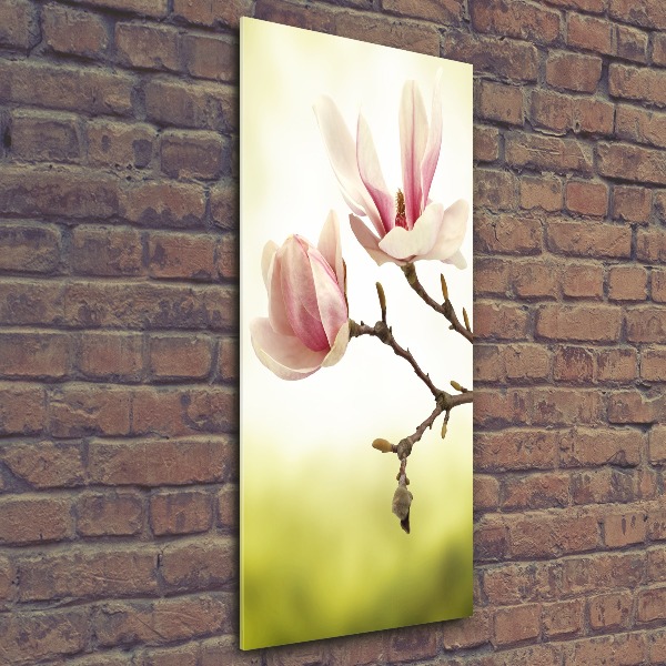 Quadro stampa su vetro acrilico verticale Fiori di magnolia