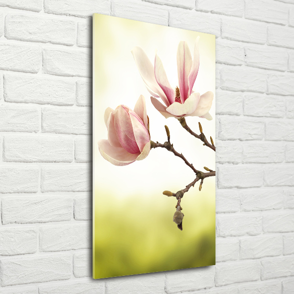 Quadro stampa su vetro acrilico verticale Fiori di magnolia