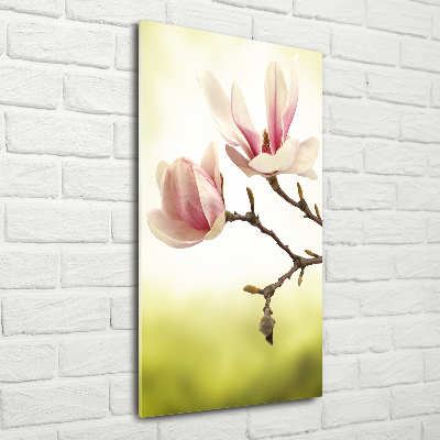 Quadro stampa su vetro acrilico verticale Fiori di magnolia