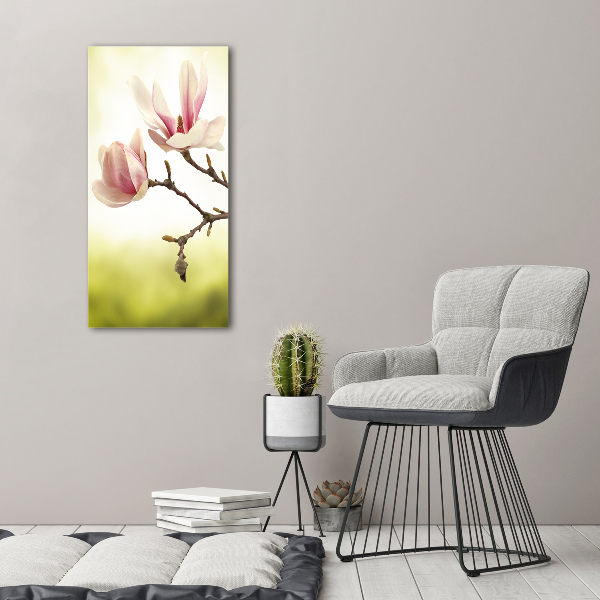 Quadro stampa su vetro acrilico verticale Fiori di magnolia