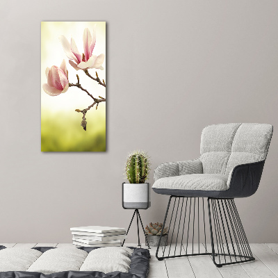Quadro stampa su vetro acrilico verticale Fiori di magnolia