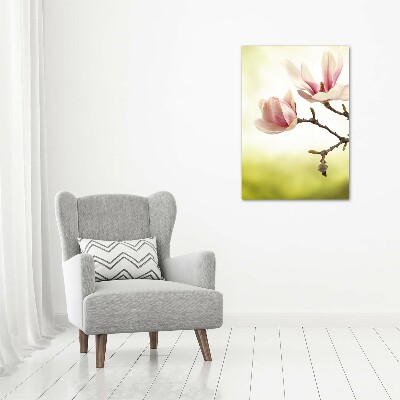 Quadro stampa su vetro acrilico verticale Fiori di magnolia