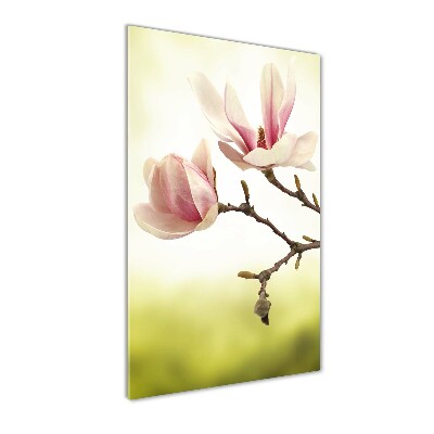 Quadro stampa su vetro acrilico verticale Fiori di magnolia