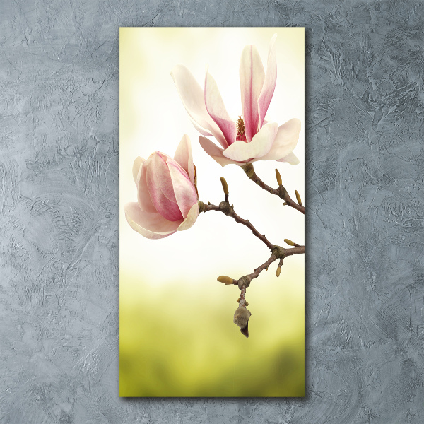 Quadro stampa su vetro acrilico verticale Fiori di magnolia