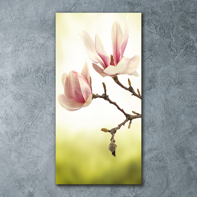 Quadro stampa su vetro acrilico verticale Fiori di magnolia