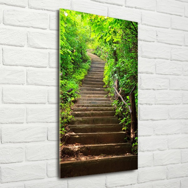Quadro vetro acrilico verticale Scale che conducono alla foresta