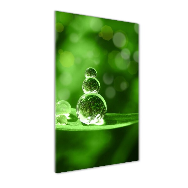 Quadro in vetro acrilico verticale Gocce sull'erba