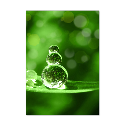 Quadro in vetro acrilico verticale Gocce sull'erba