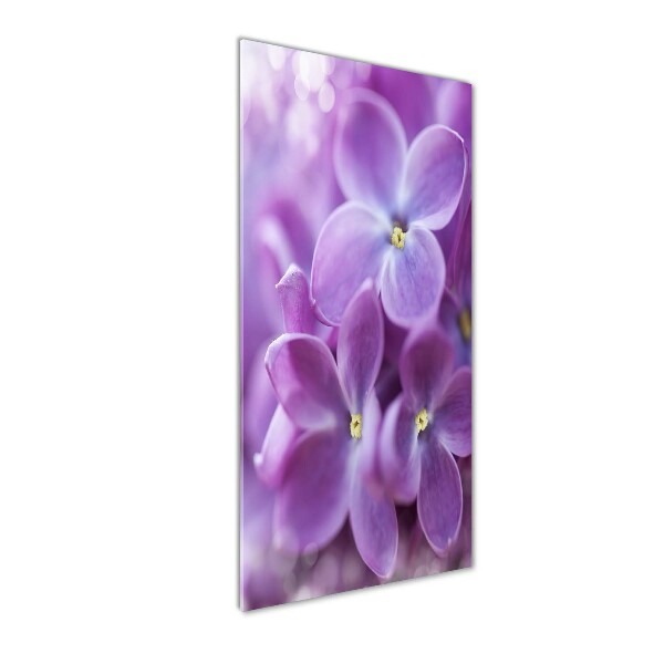 Quadro acrilico verticale Fiori di lillà