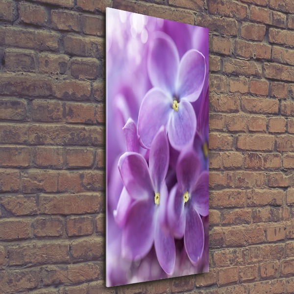 Quadro acrilico verticale Fiori di lillà