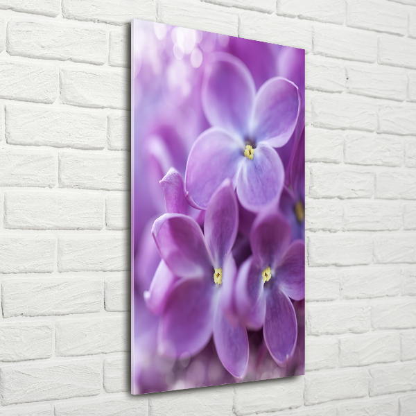 Quadro acrilico verticale Fiori di lillà