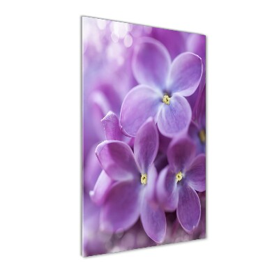 Quadro acrilico verticale Fiori di lillà