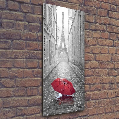 Quadro stampa su vetro acrilico verticale Ombrello Francia