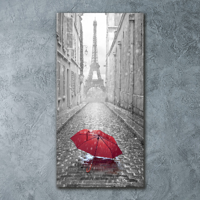 Quadro stampa su vetro acrilico verticale Ombrello Francia