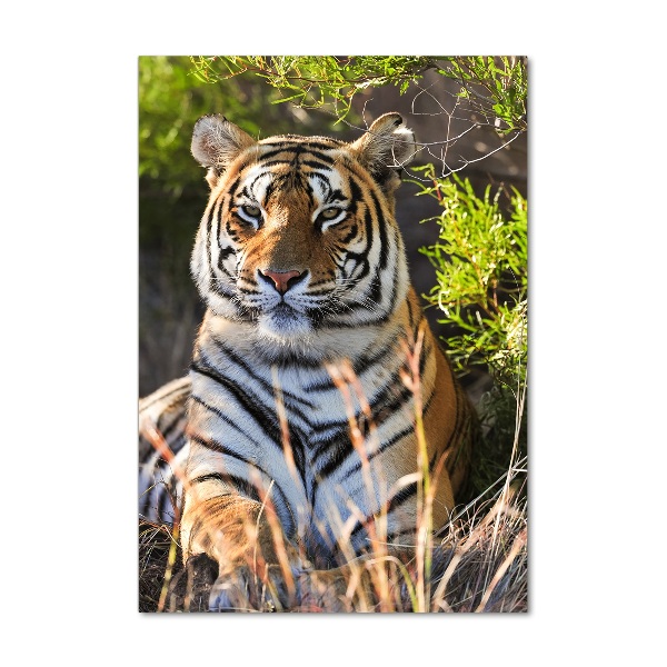 Quadro acrilico verticale Tigre