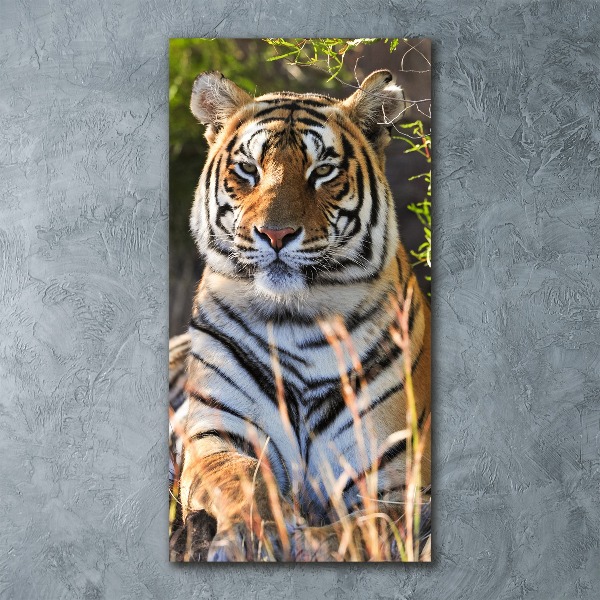 Quadro acrilico verticale Tigre