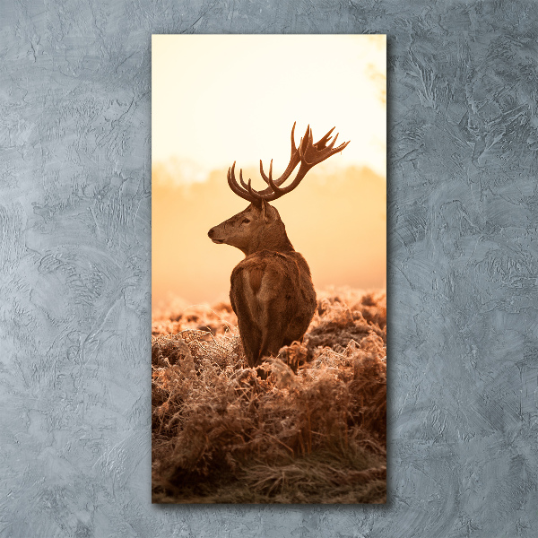 Quadro vetro acrilico verticale Alba di cervo