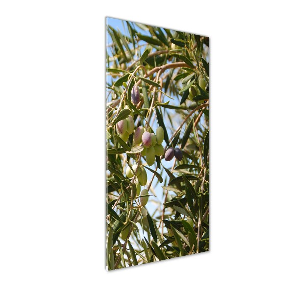 Quadro in vetro acrilico verticale Olive sull'albero