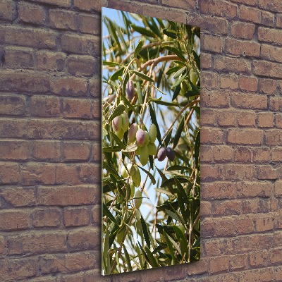 Quadro in vetro acrilico verticale Olive sull'albero