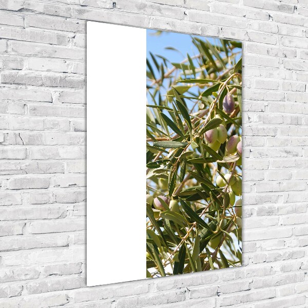 Quadro in vetro acrilico verticale Olive sull'albero