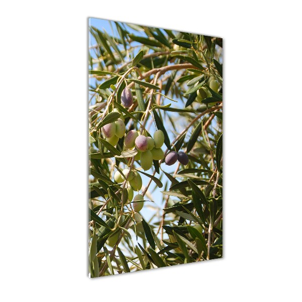 Quadro in vetro acrilico verticale Olive sull'albero