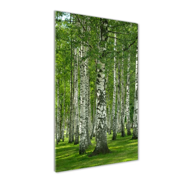 Quadro stampa su vetro acrilico verticale Foresta di betulle