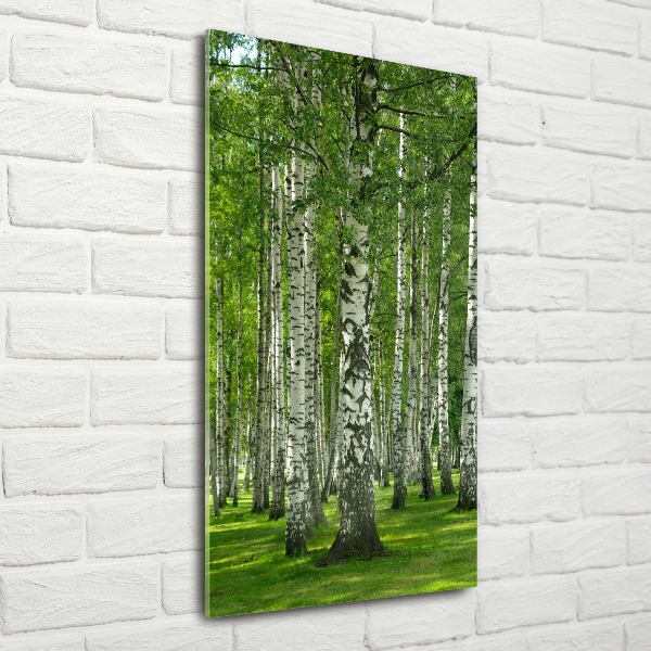 Quadro stampa su vetro acrilico verticale Foresta di betulle