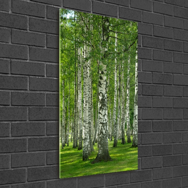 Quadro stampa su vetro acrilico verticale Foresta di betulle