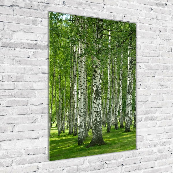 Quadro stampa su vetro acrilico verticale Foresta di betulle