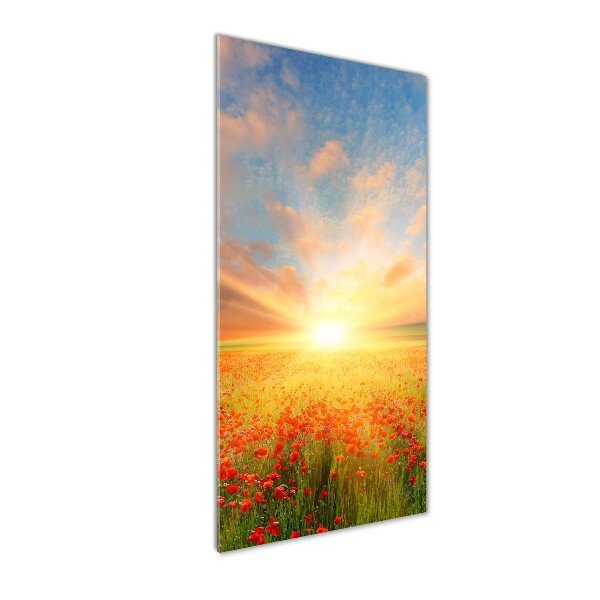 Quadro vetro acrilico verticale Campo di papaveri
