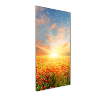 Quadro vetro acrilico verticale Campo di papaveri