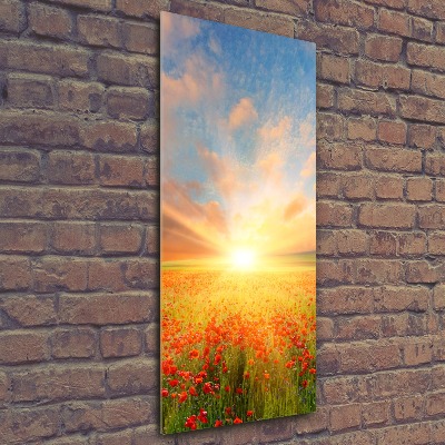 Quadro vetro acrilico verticale Campo di papaveri