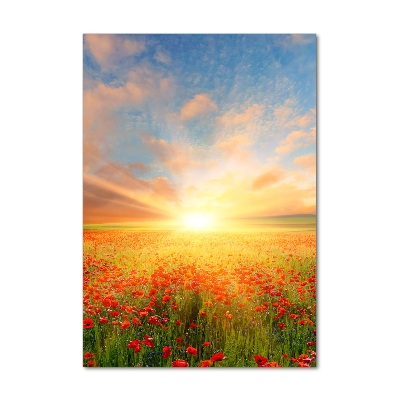 Quadro vetro acrilico verticale Campo di papaveri