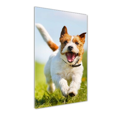 Quadro in vetro acrilico verticale Cane Jack Russell