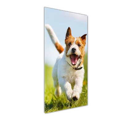 Quadro in vetro acrilico verticale Cane Jack Russell