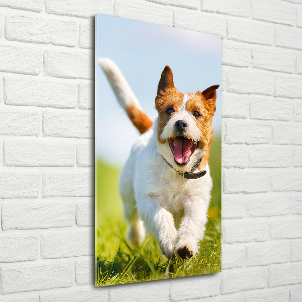 Quadro in vetro acrilico verticale Cane Jack Russell