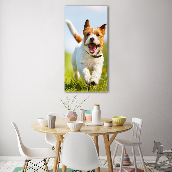 Quadro in vetro acrilico verticale Cane Jack Russell
