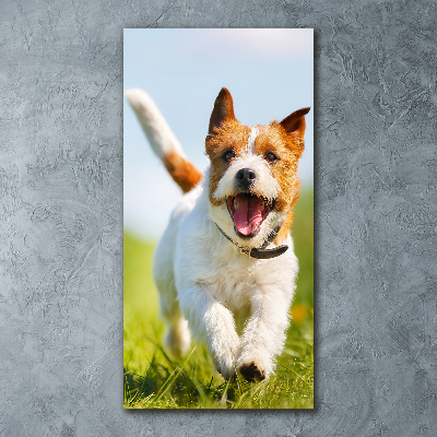 Quadro in vetro acrilico verticale Cane Jack Russell