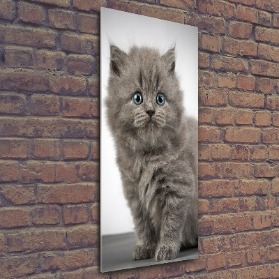 Quadro vetro acrilico verticale Gatto grigio britannico