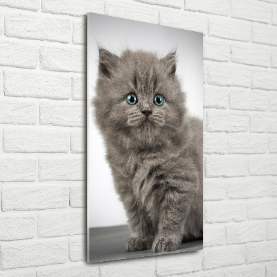 Quadro vetro acrilico verticale Gatto grigio britannico