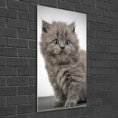 Quadro vetro acrilico verticale Gatto grigio britannico