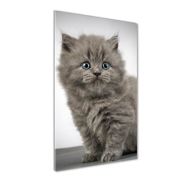 Quadro vetro acrilico verticale Gatto grigio britannico