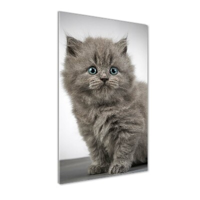 Quadro vetro acrilico verticale Gatto grigio britannico