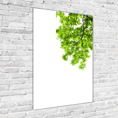 Quadro vetro acrilico verticale Chioma dell'albero