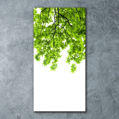 Quadro vetro acrilico verticale Chioma dell'albero