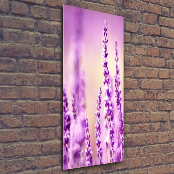 Quadro acrilico verticale Lavanda